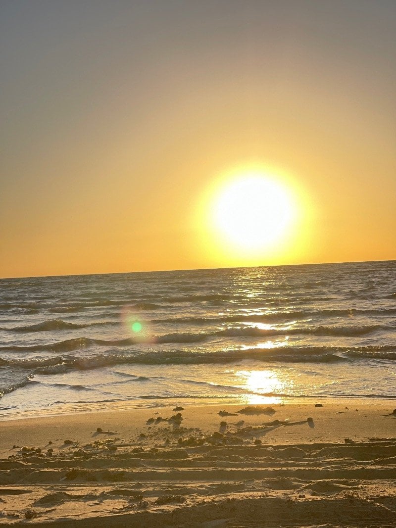 احلام الجهني