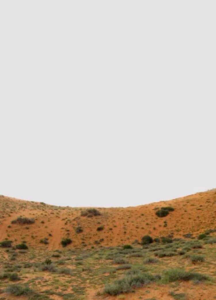 ظفر الدوسري