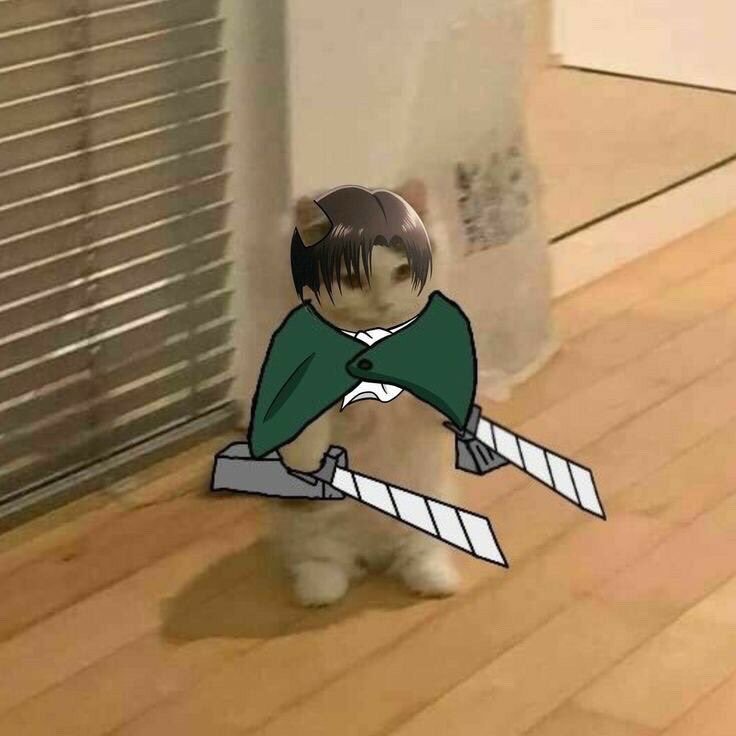خالد فران