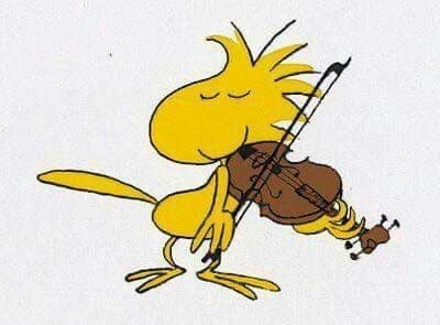 لولوة المالك