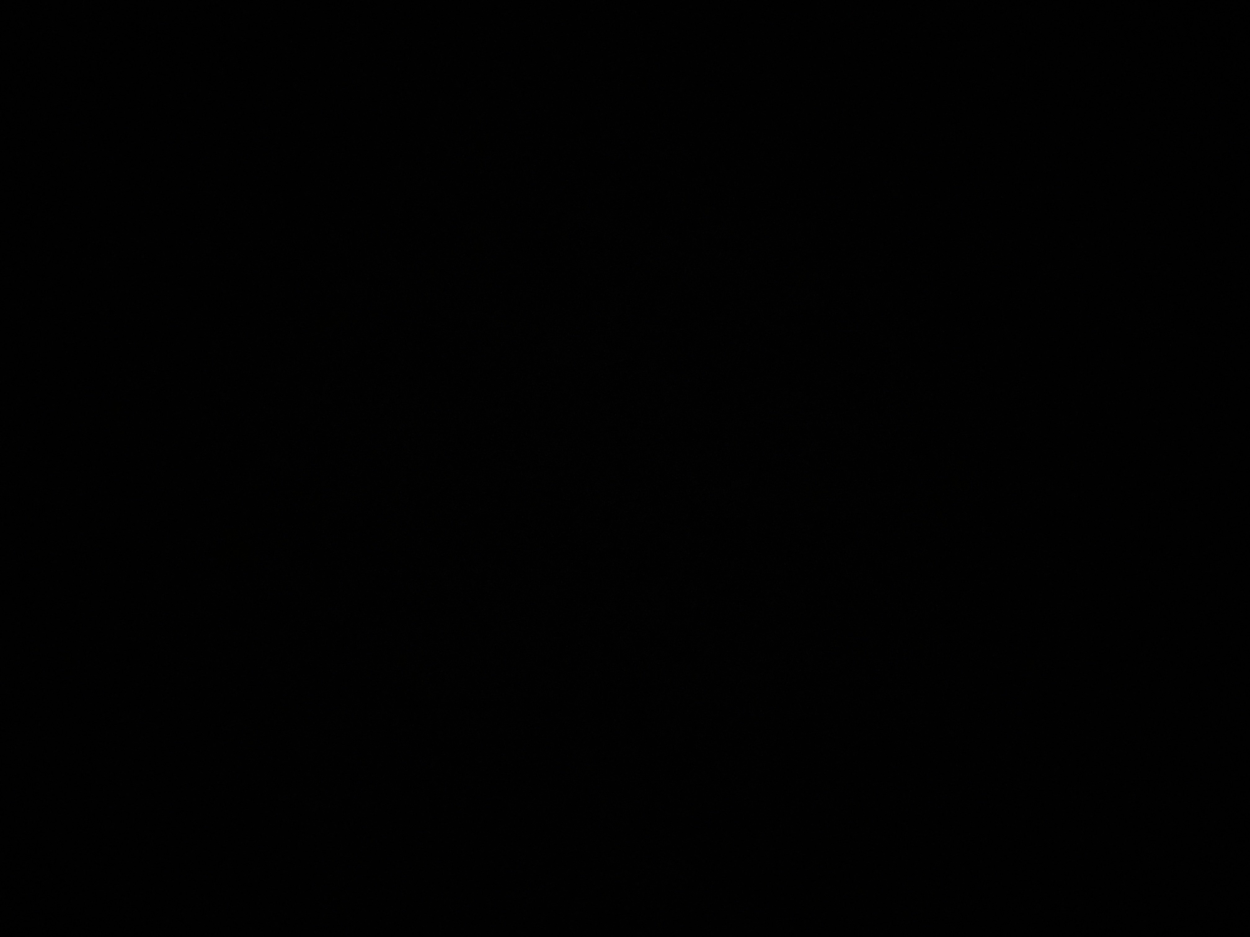 خلود المطيري