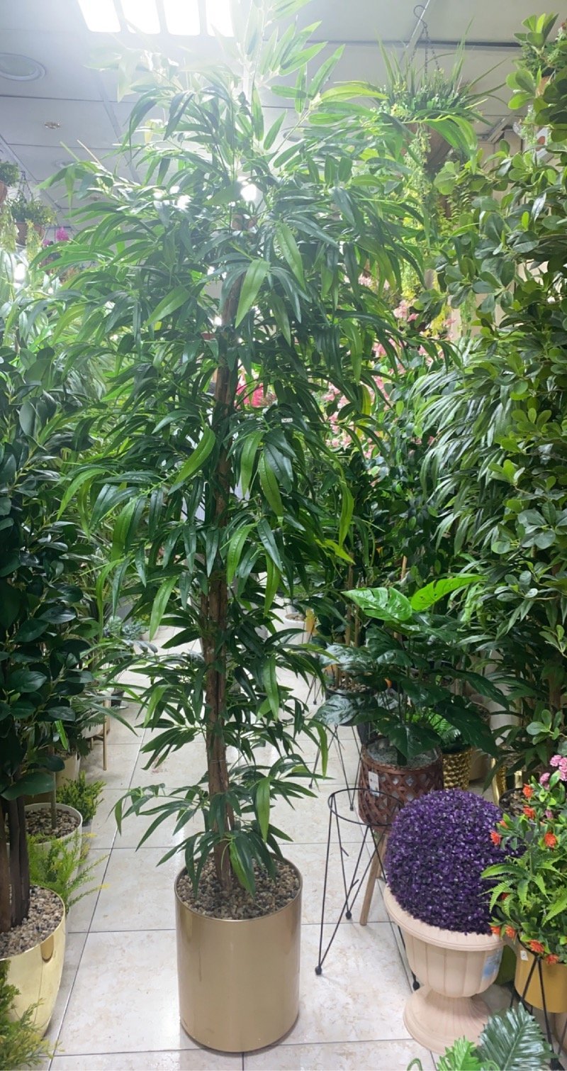 نسرين الضبيعي