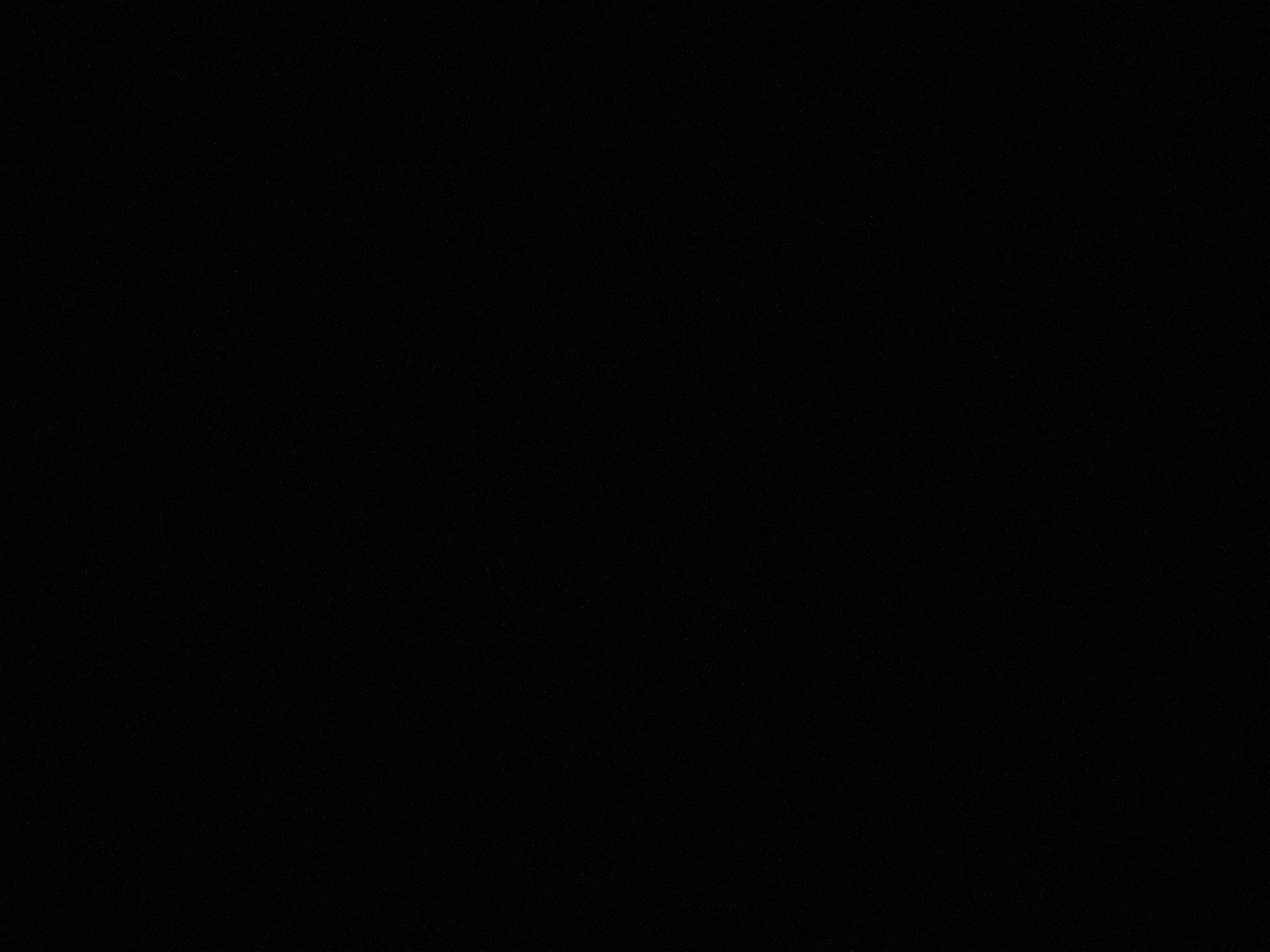 لمار عبدالله