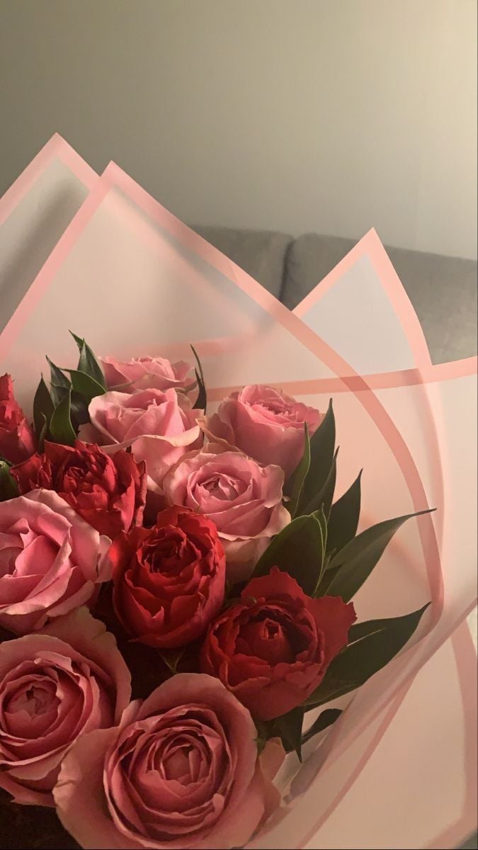 عهود الفيفي