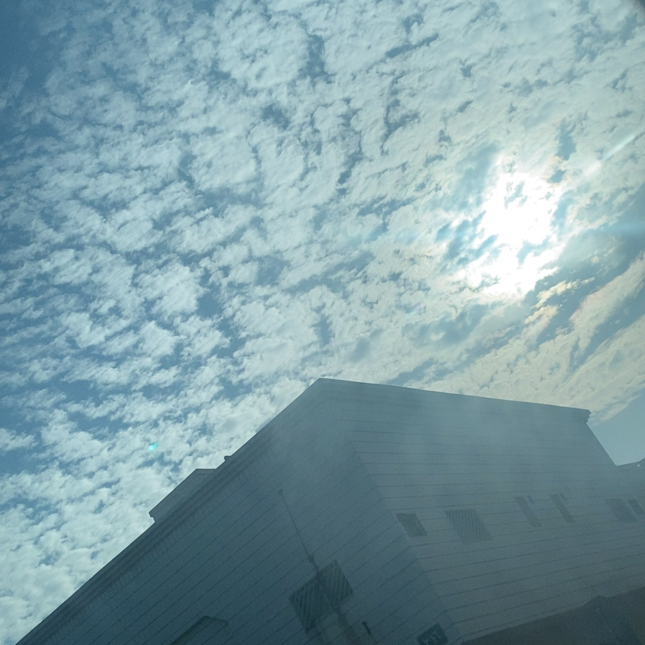 داليا سفياني