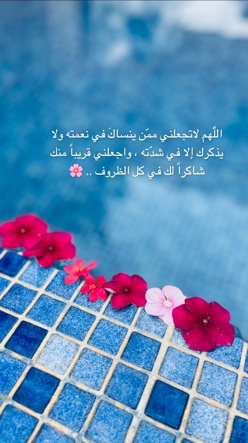 الزبيدي نوف