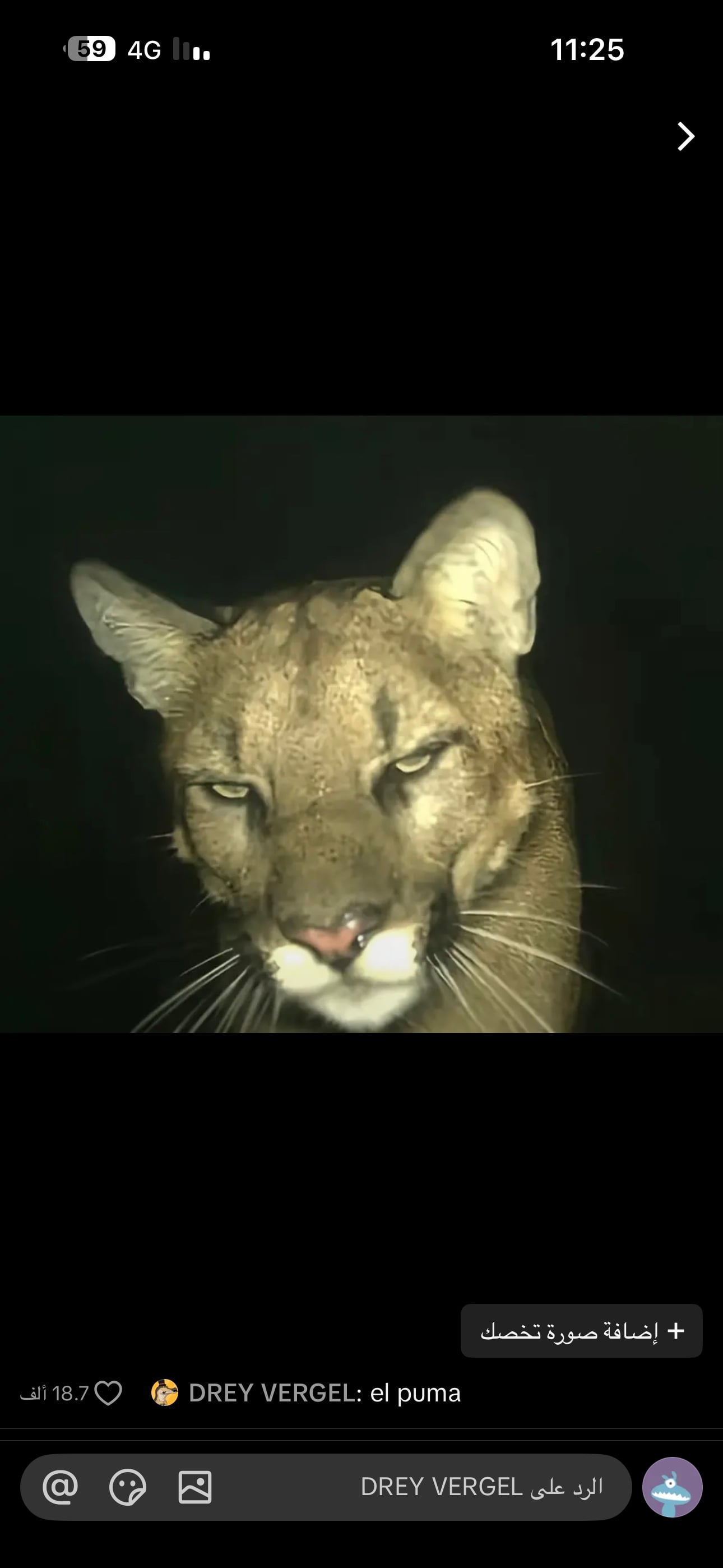 علي الغامدي