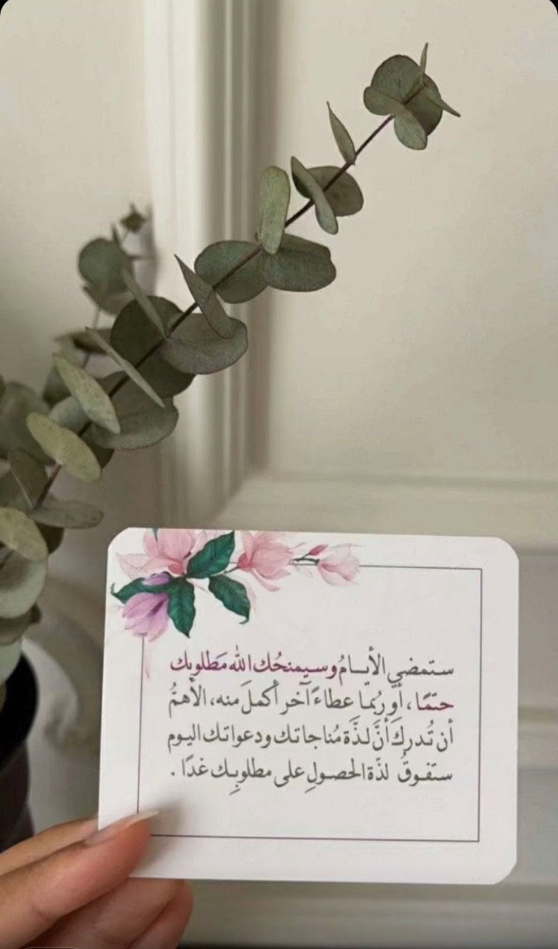 منور سليمان
