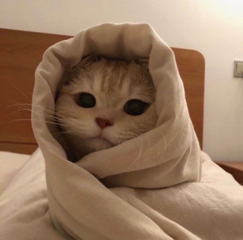 تهاني عسيري