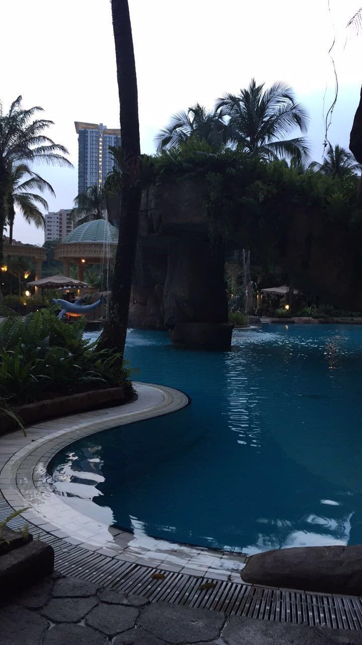 عياد 