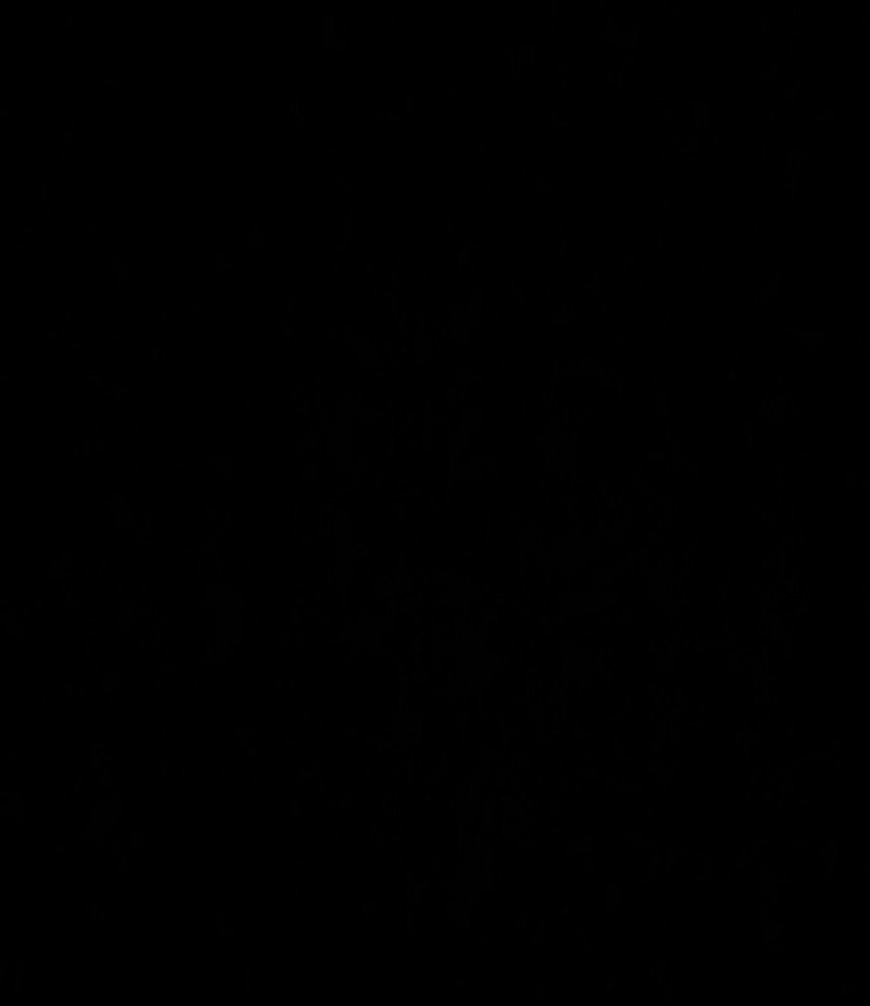 عبدالمجيد المطيري