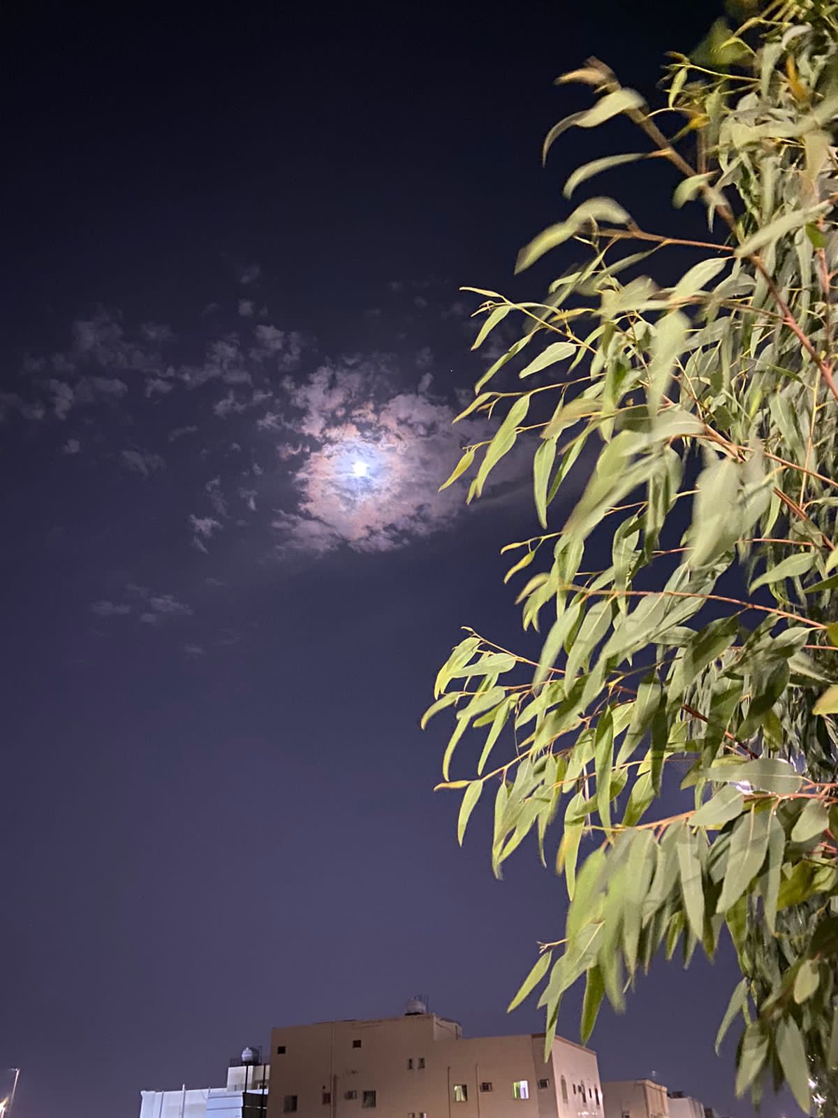 موده 