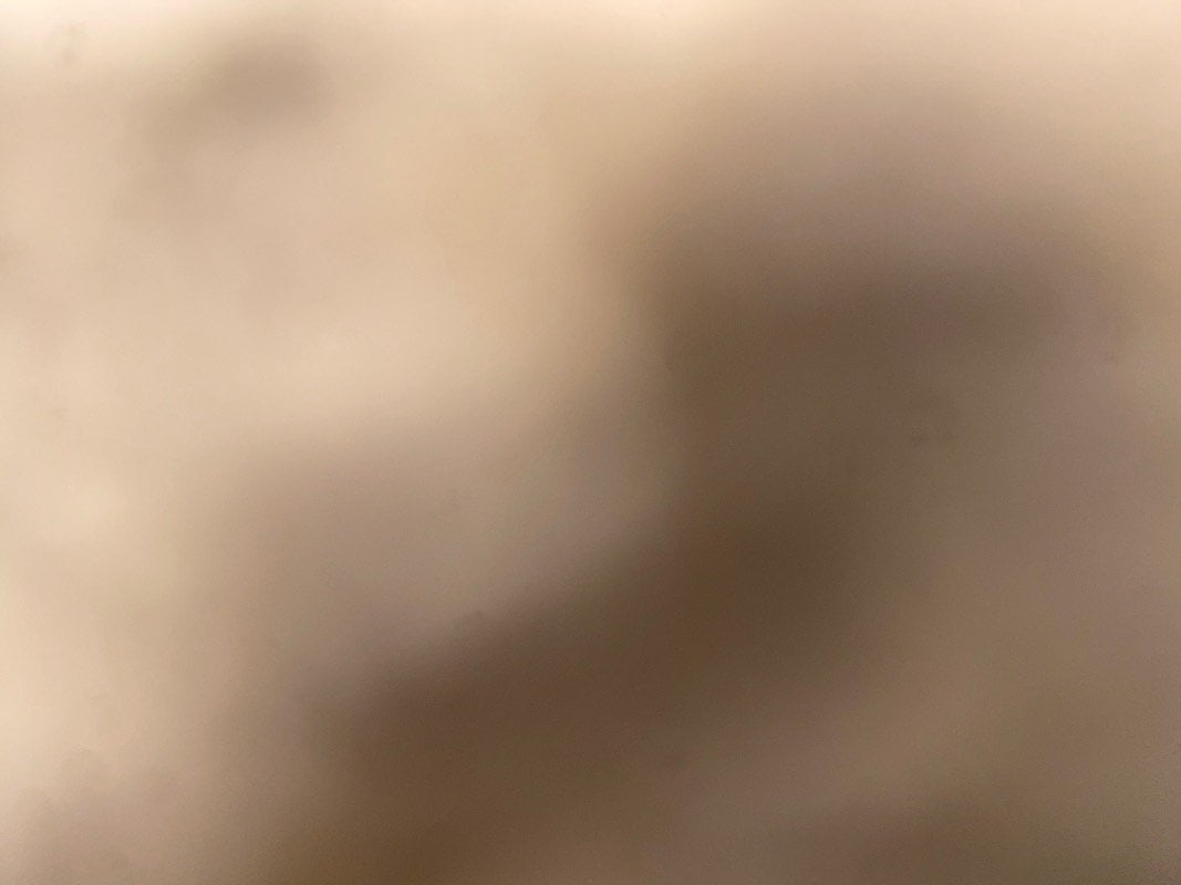 امل الاحمدي