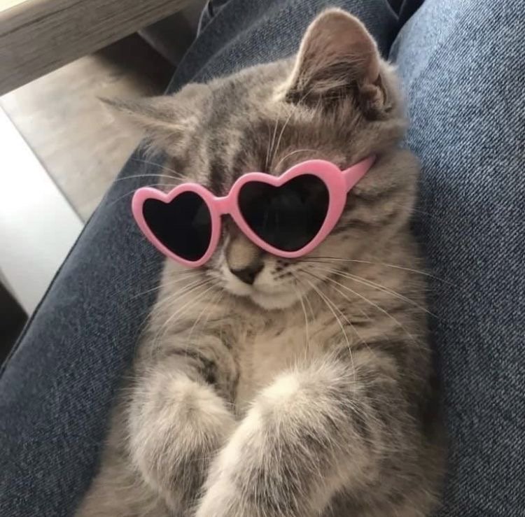 دعاء الحربي