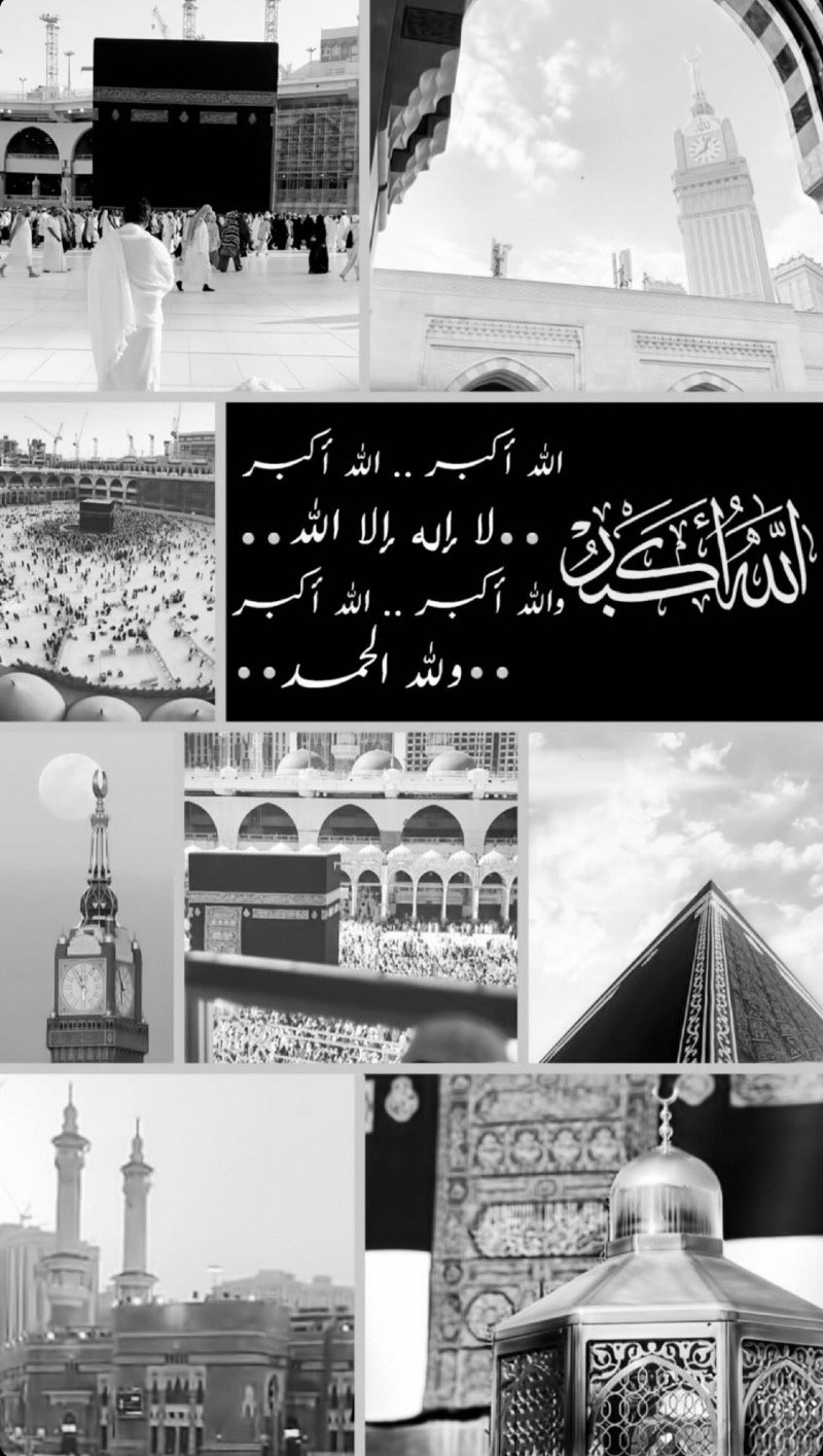 شهد العتيبي