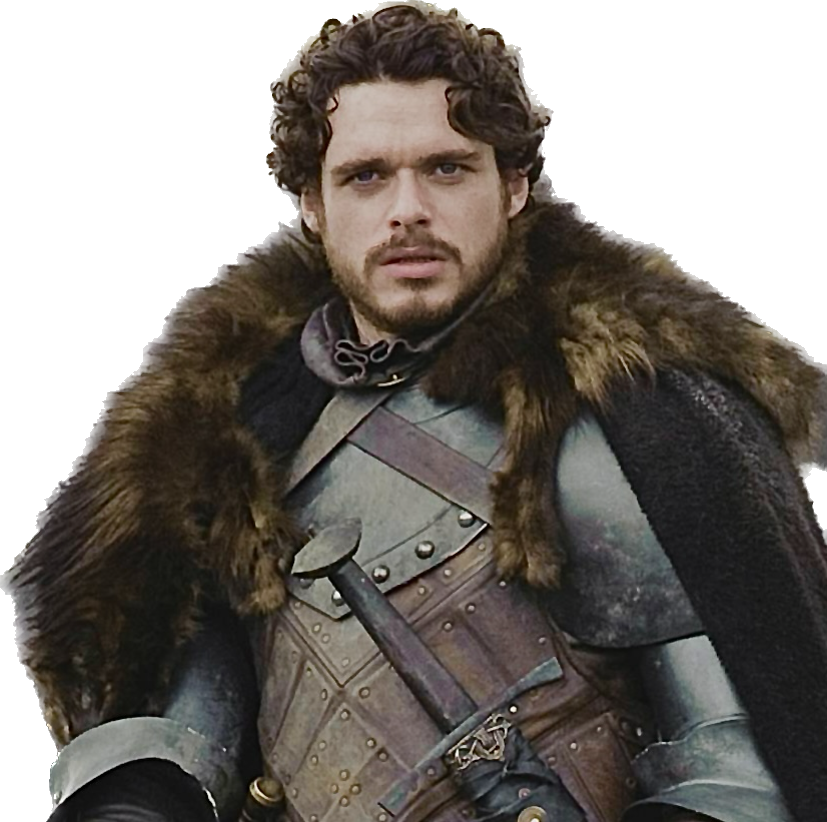 يوسف التليدي