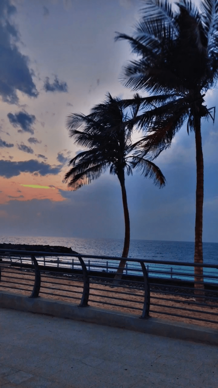 نوره العامري