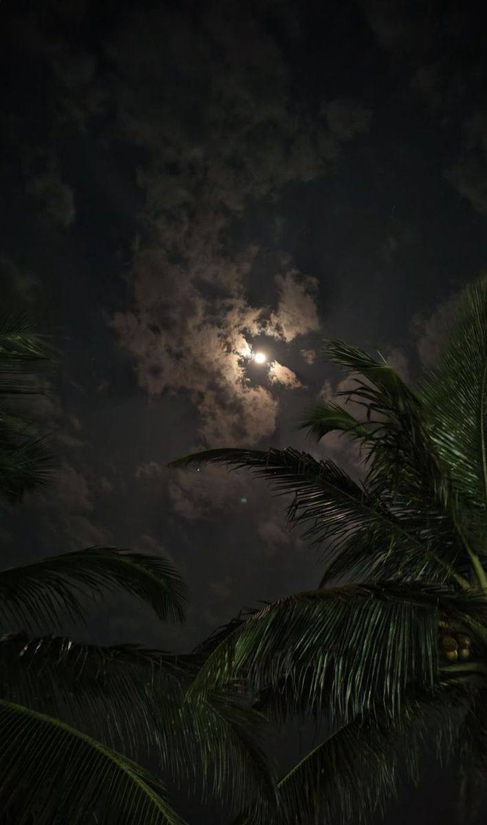 مشاري عبدالعزيز