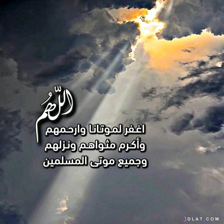 هيا الدوسري