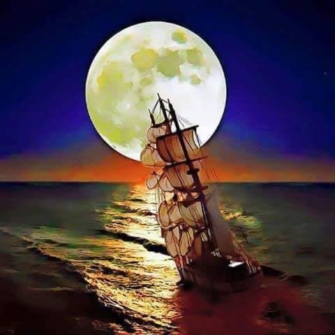 يحيى محمد عبدلي