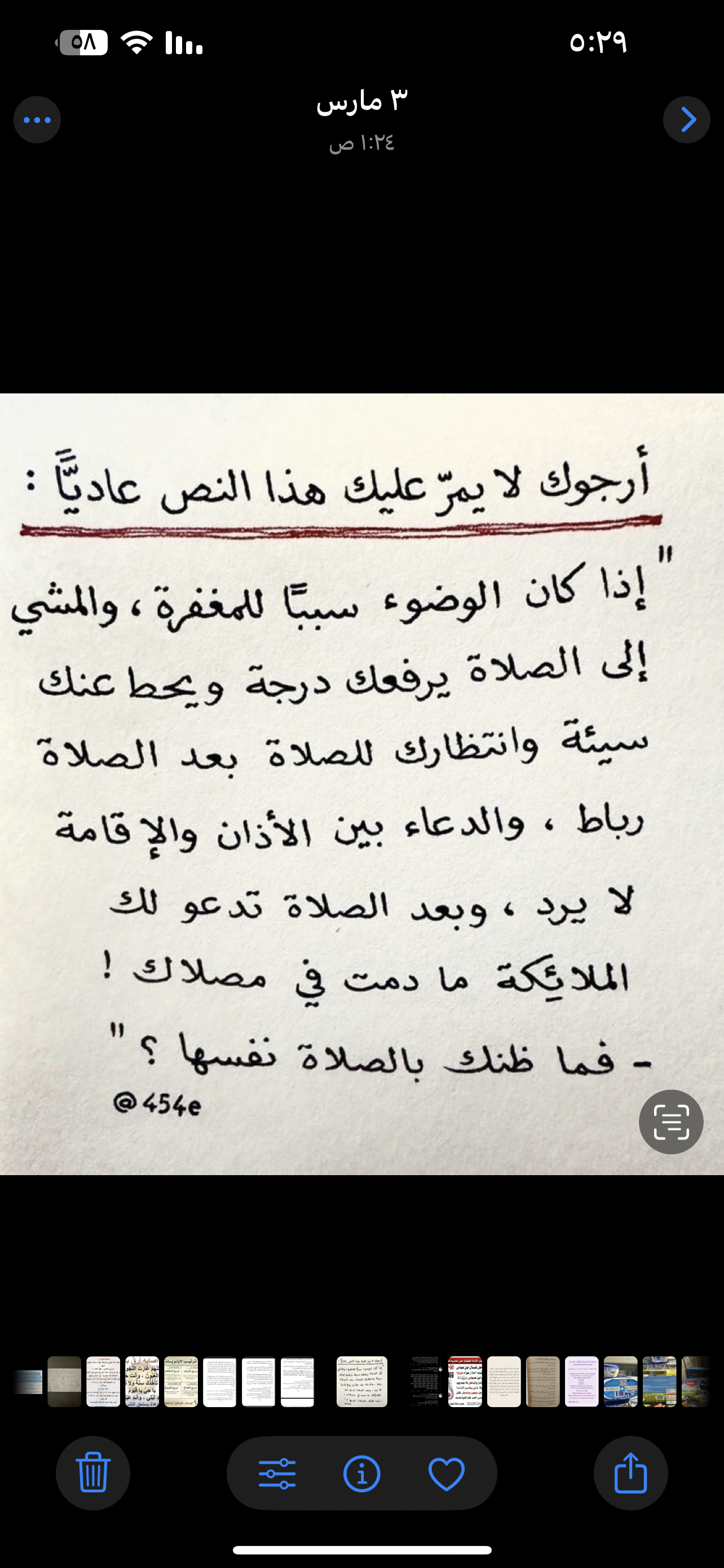 دلال العلي