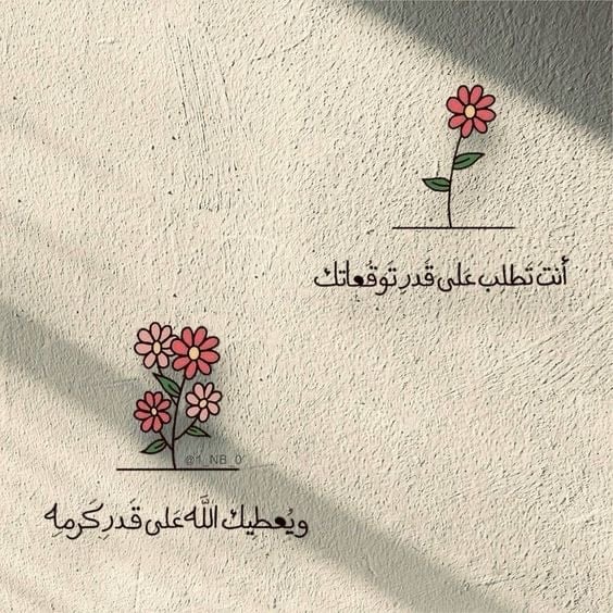حصه المالكي