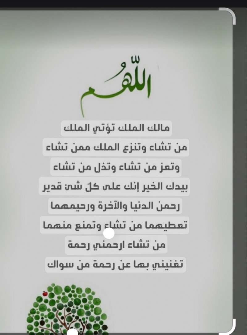 عايشه الحربي الحربي