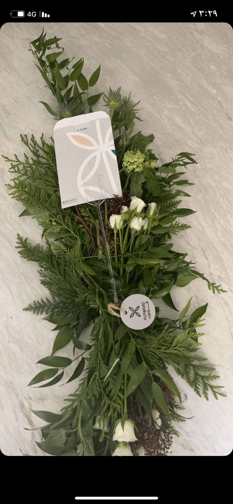 حبببة إبراهيم