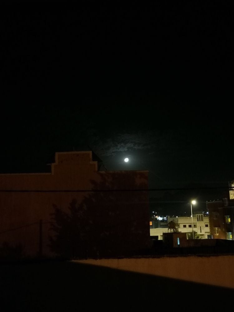 ريان الشهري