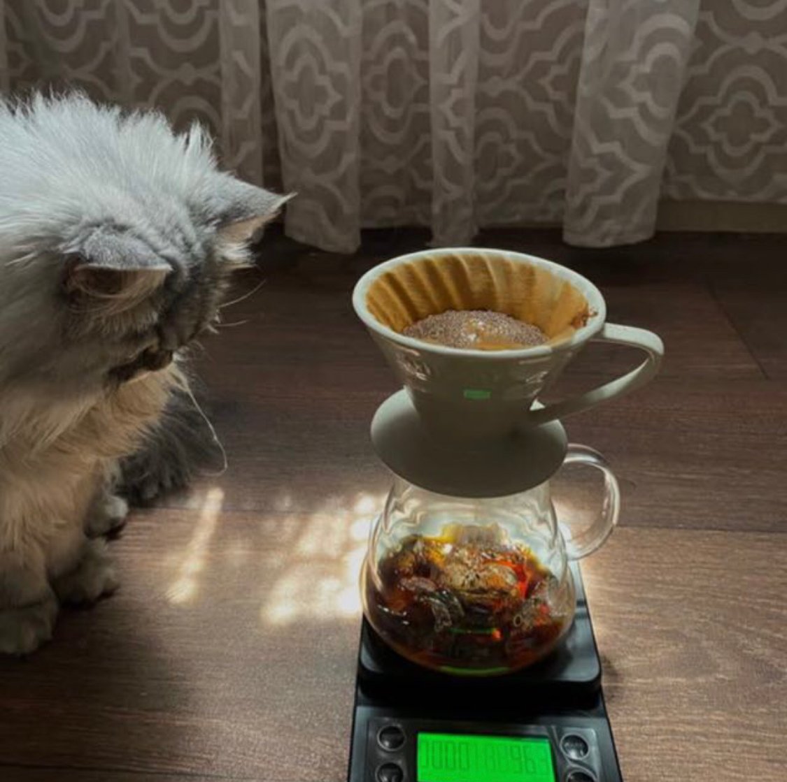 رهف الراجحي الحربي الحربي