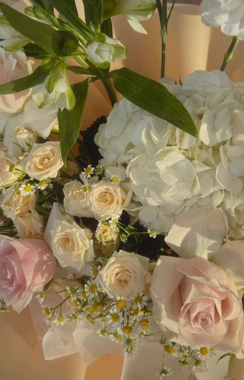 نوف الراجحي نوف الراجحي