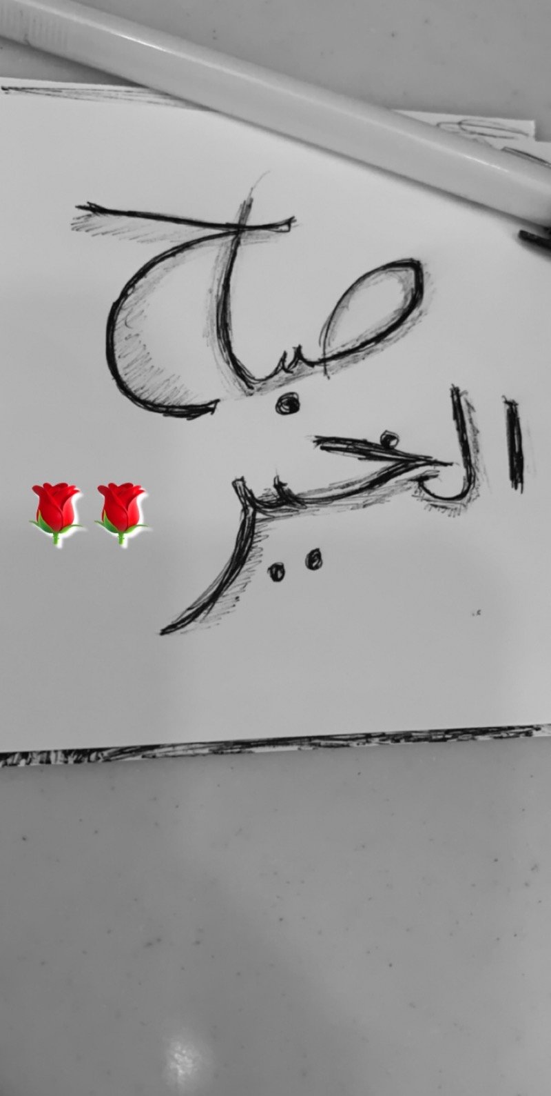 كاميليا عوض محمد بريكه