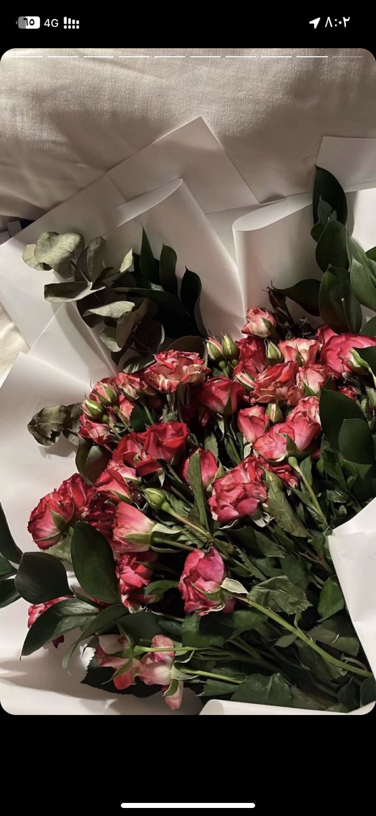 نوال المطيري