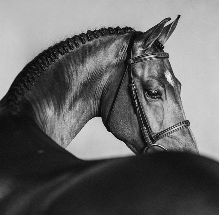 عهود العبدالله