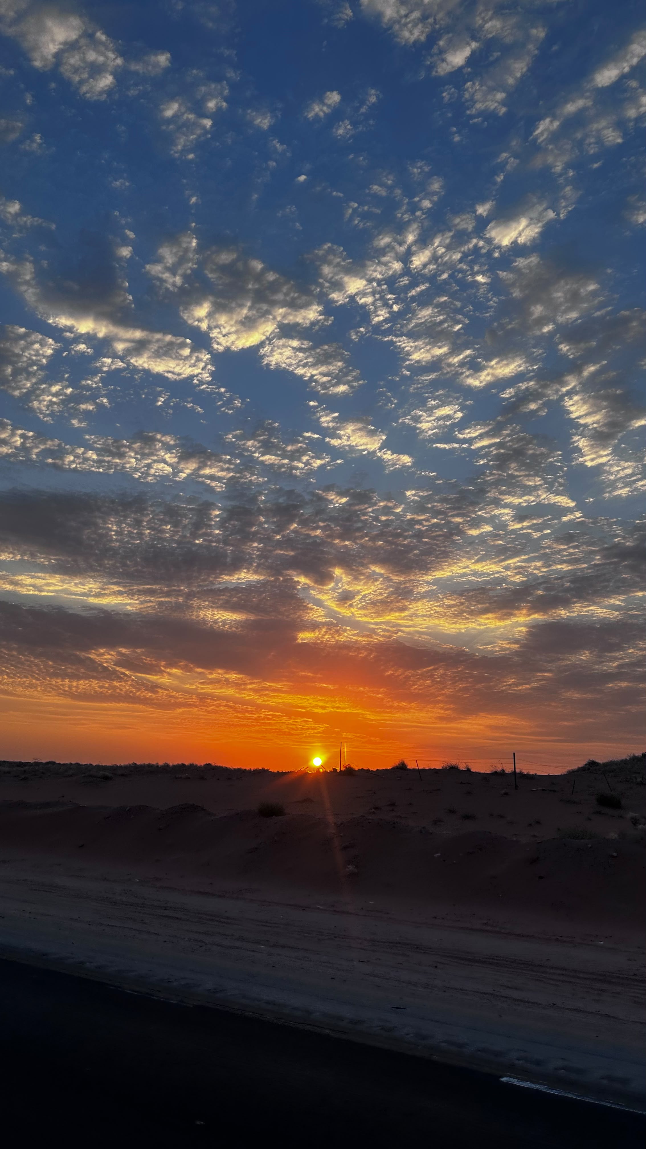 محمد مجرشي