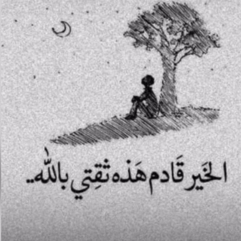 فوز فوز