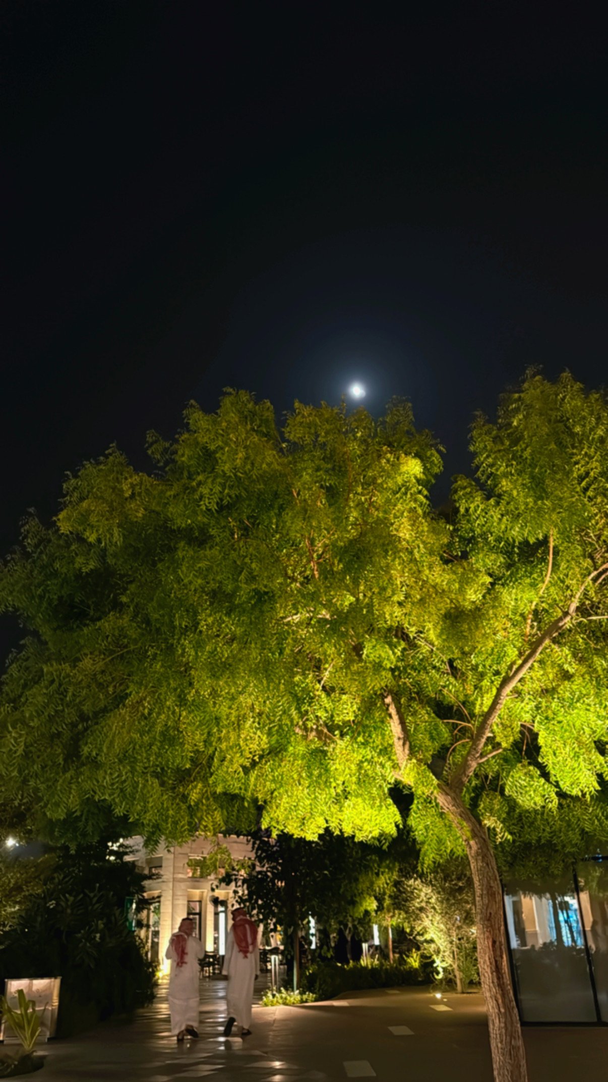 إبراهيم التميمي