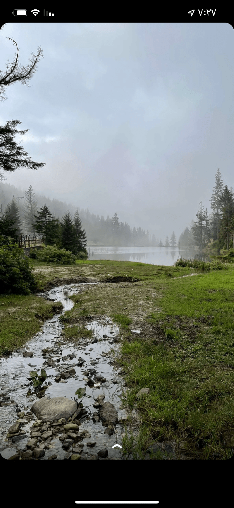 فوزية منصور