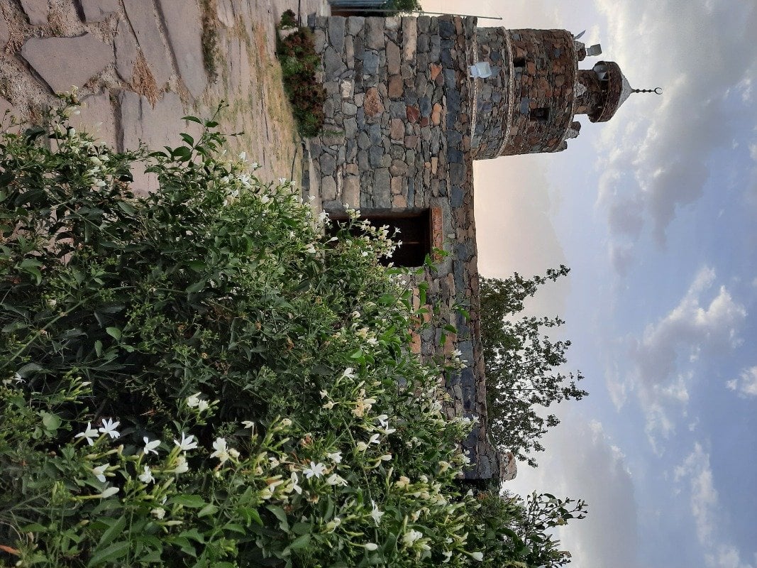 أمنية الصبياني