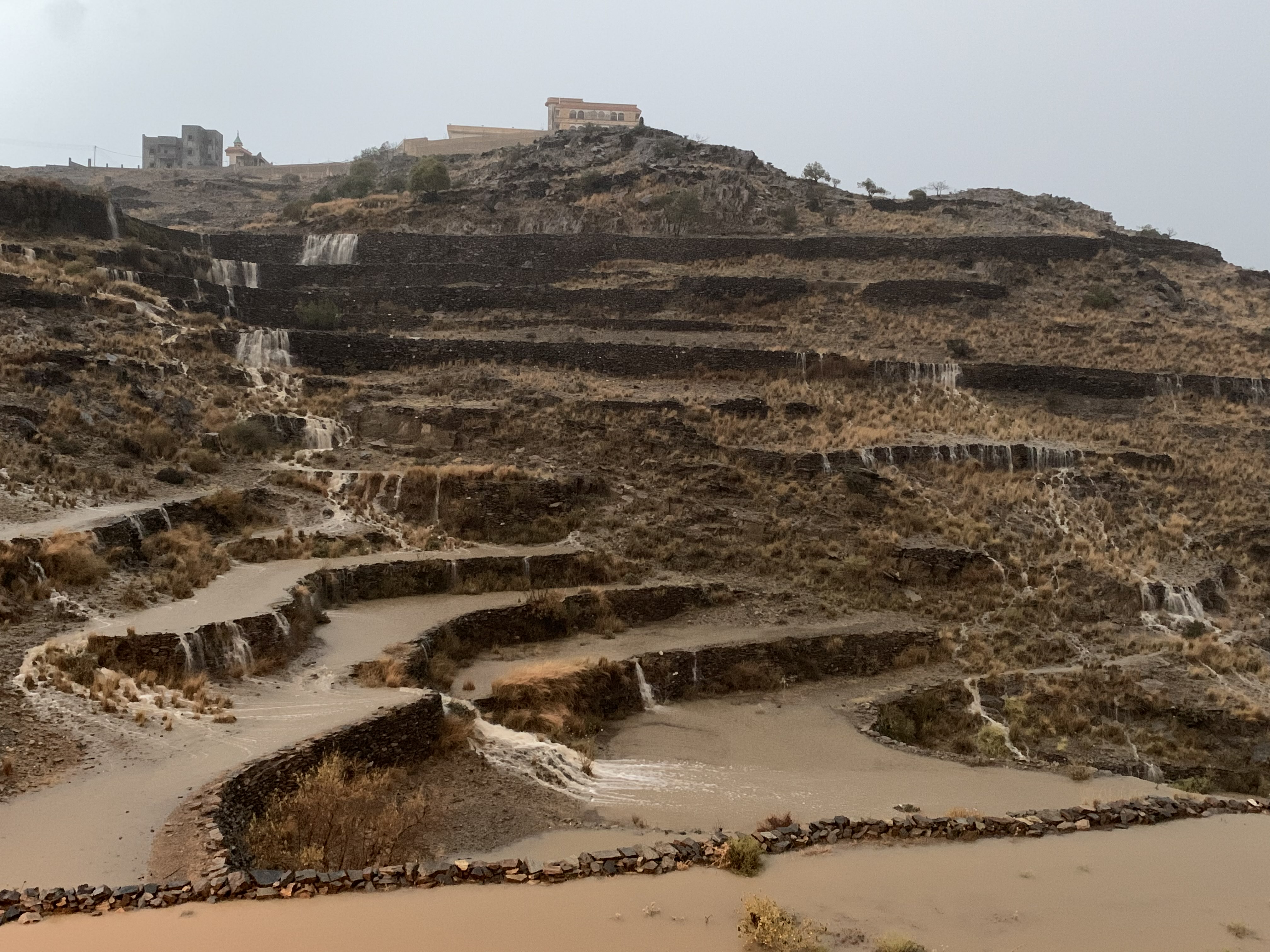 زياد المالكي