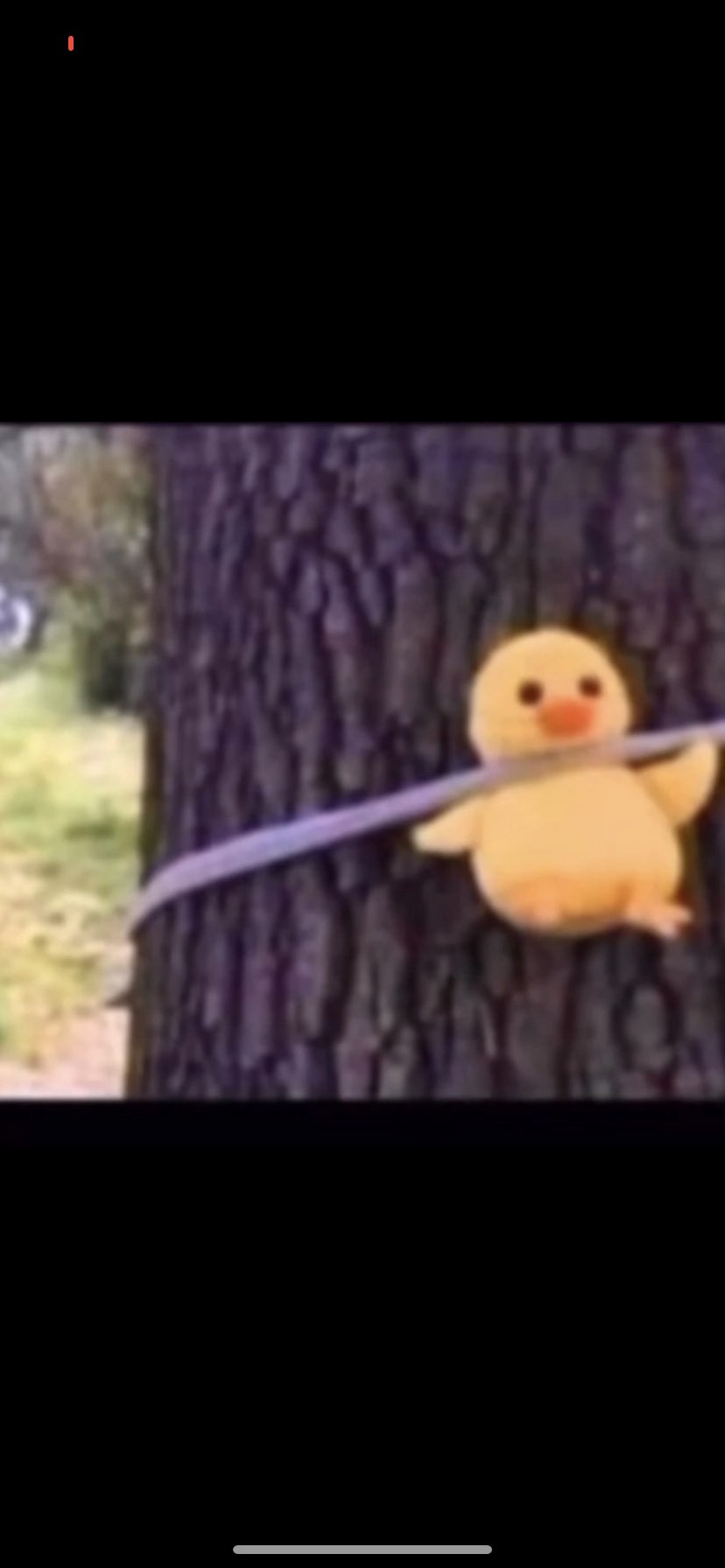 مون الخياليه