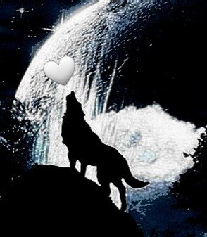 خالد الخالد