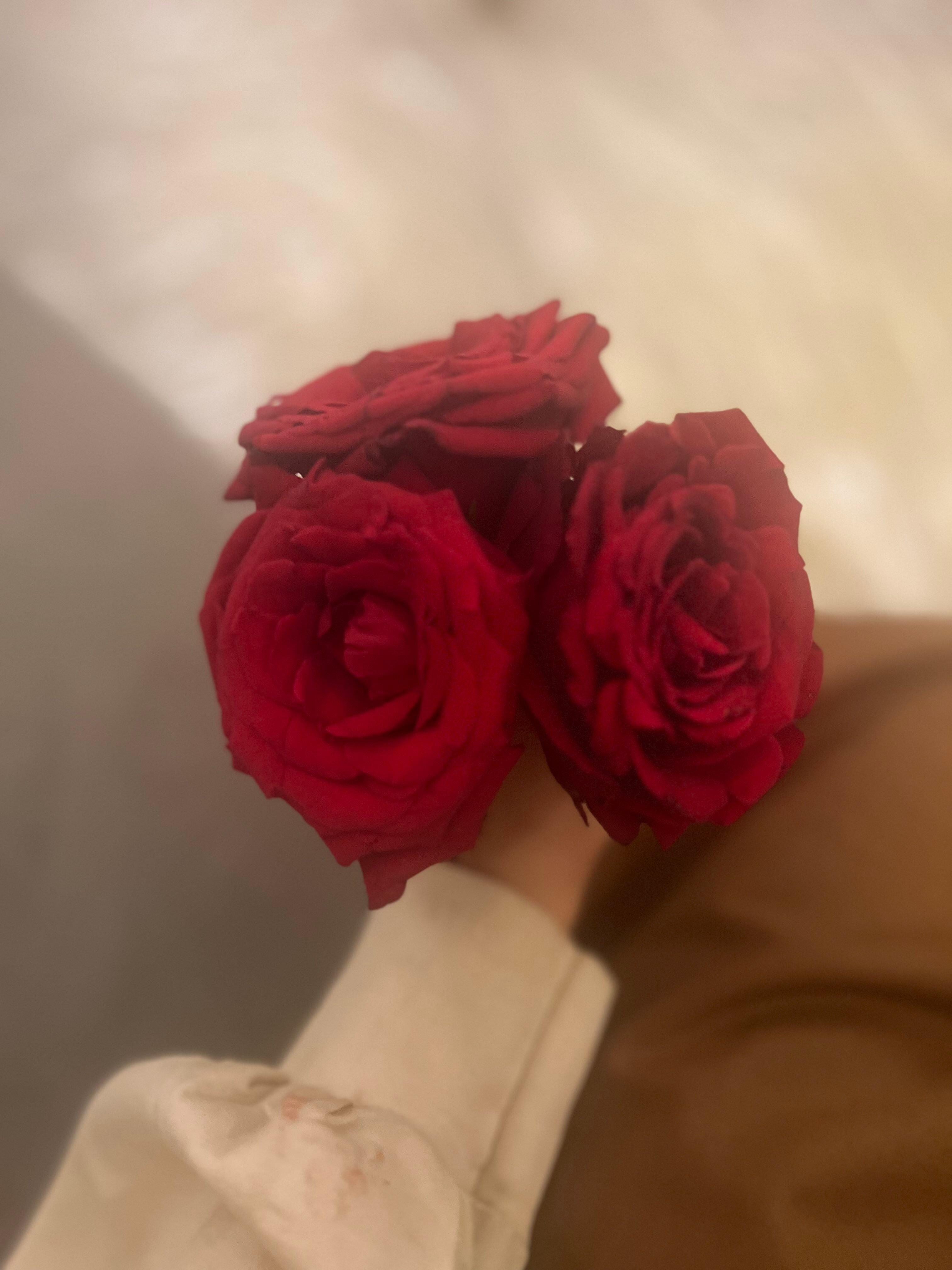 مصباح نجمي نجمي