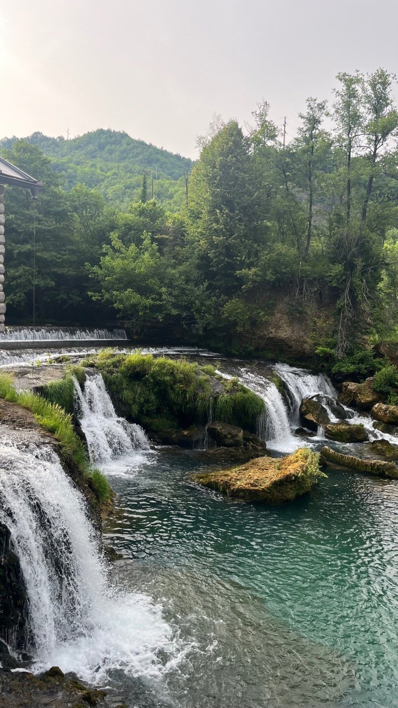 فاطمة عيلان