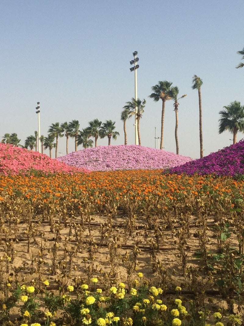 خالد الاحمدي