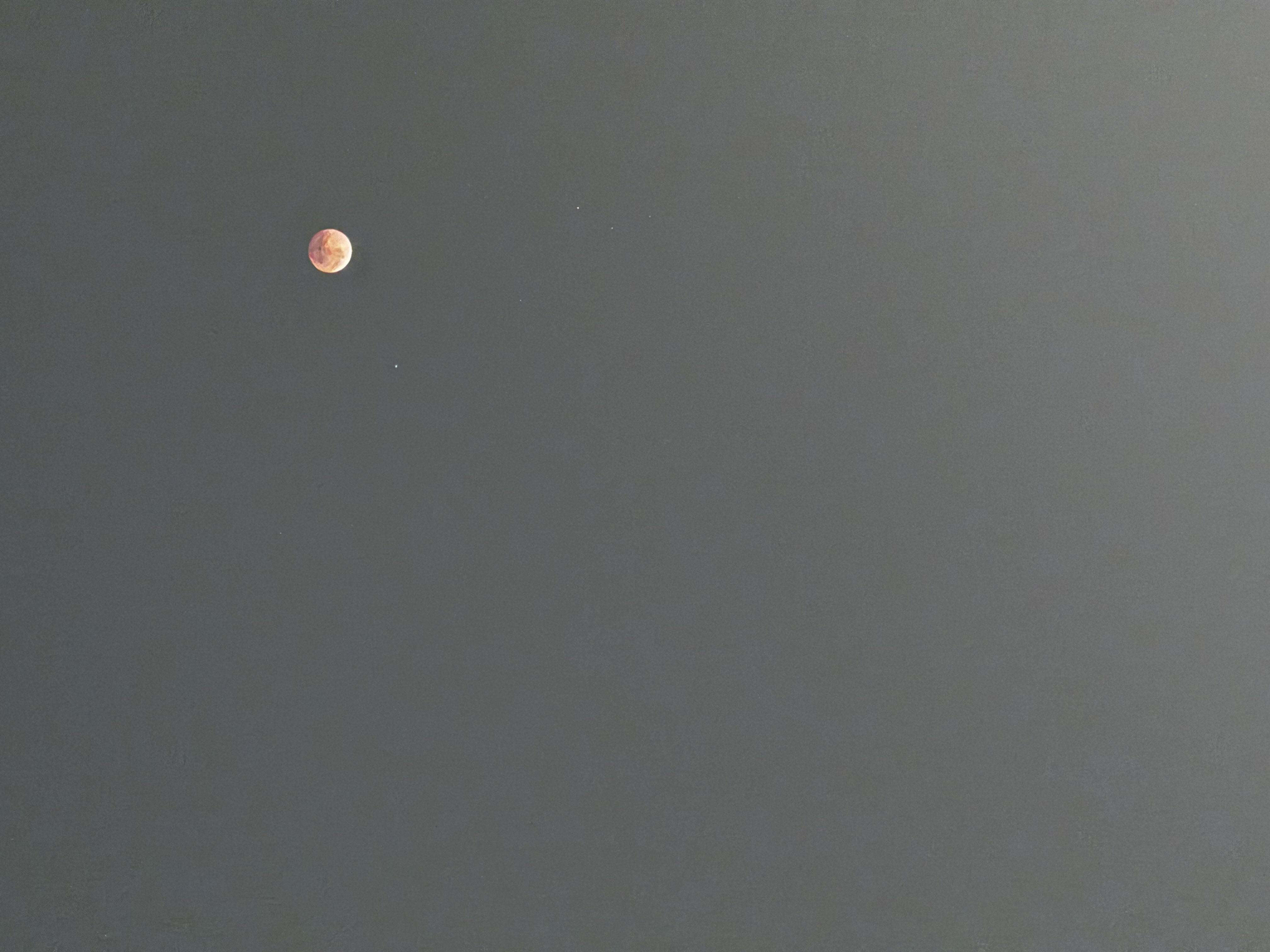 ريان علي الغامدي