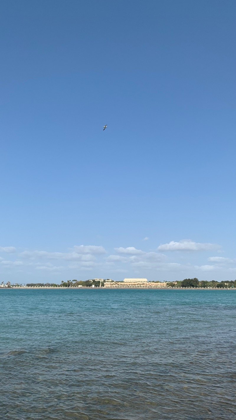 راضيه العربي