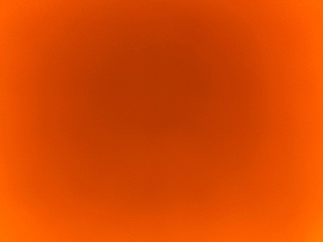 شوق الاحمدي