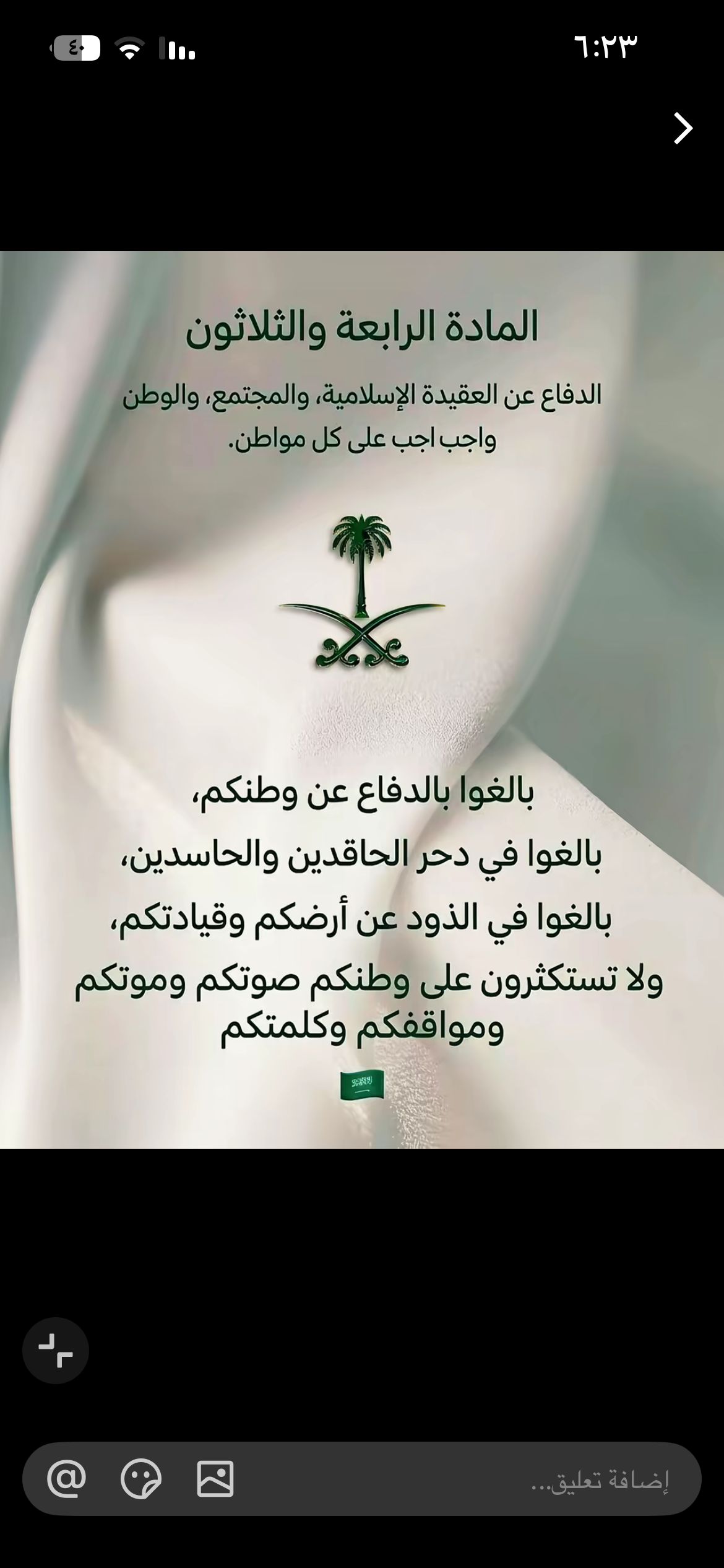 عائشه الحربي