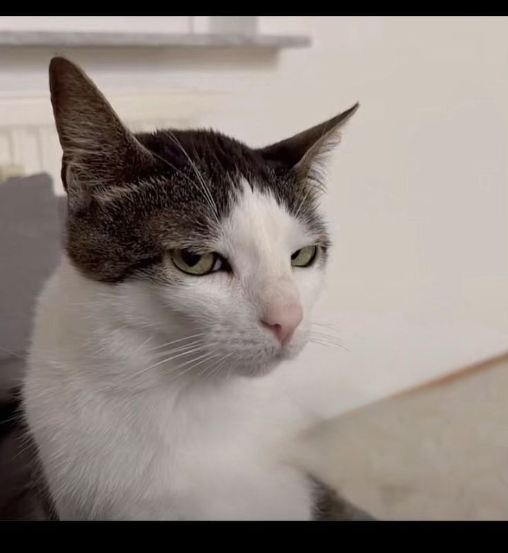 خالد الأحمدي